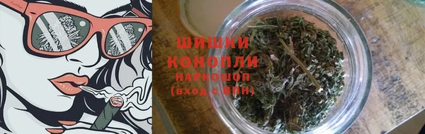 гашик Бородино