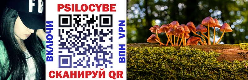 Псилоцибиновые грибы Cubensis  Купить  Мглин 